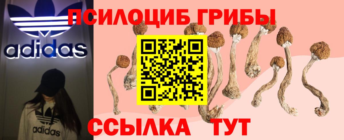 Галлюциногенные грибы Psilocybe  Галлюциногенные грибы Cubensis  Вход с VPN  Скопин 